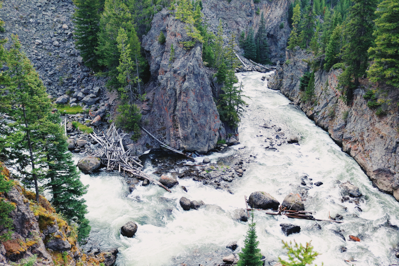 Illustration for article titled Photodump: Yellowstone National Park